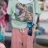Boys Short and tshirt set-Dinosaur print